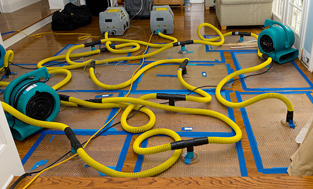 Professional Crawl Space Water Removal technician working in Machiasport, ME